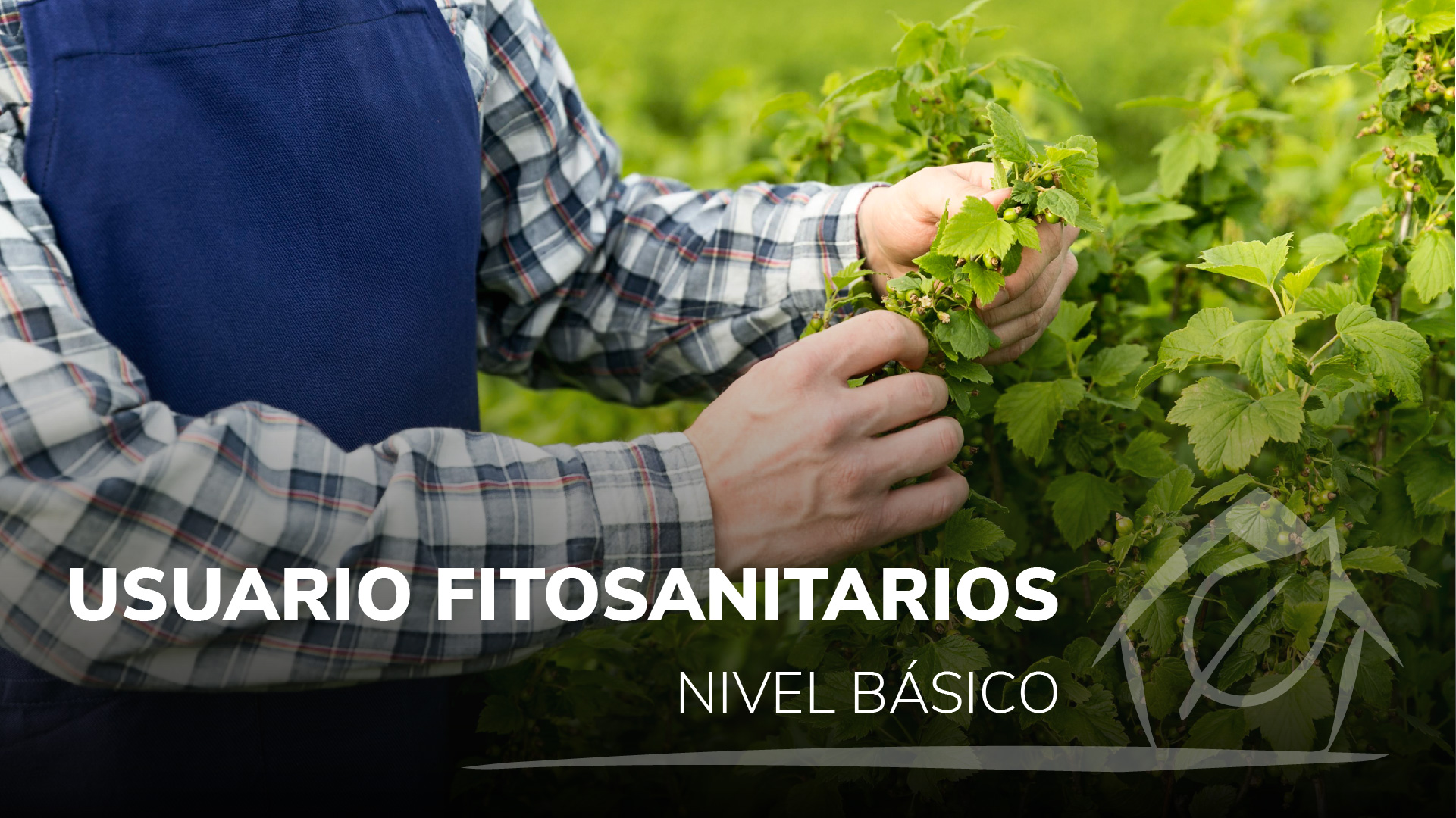 Curso de USUARIO FITOSANITARIOS - NIVEL B&Aacute;SICO