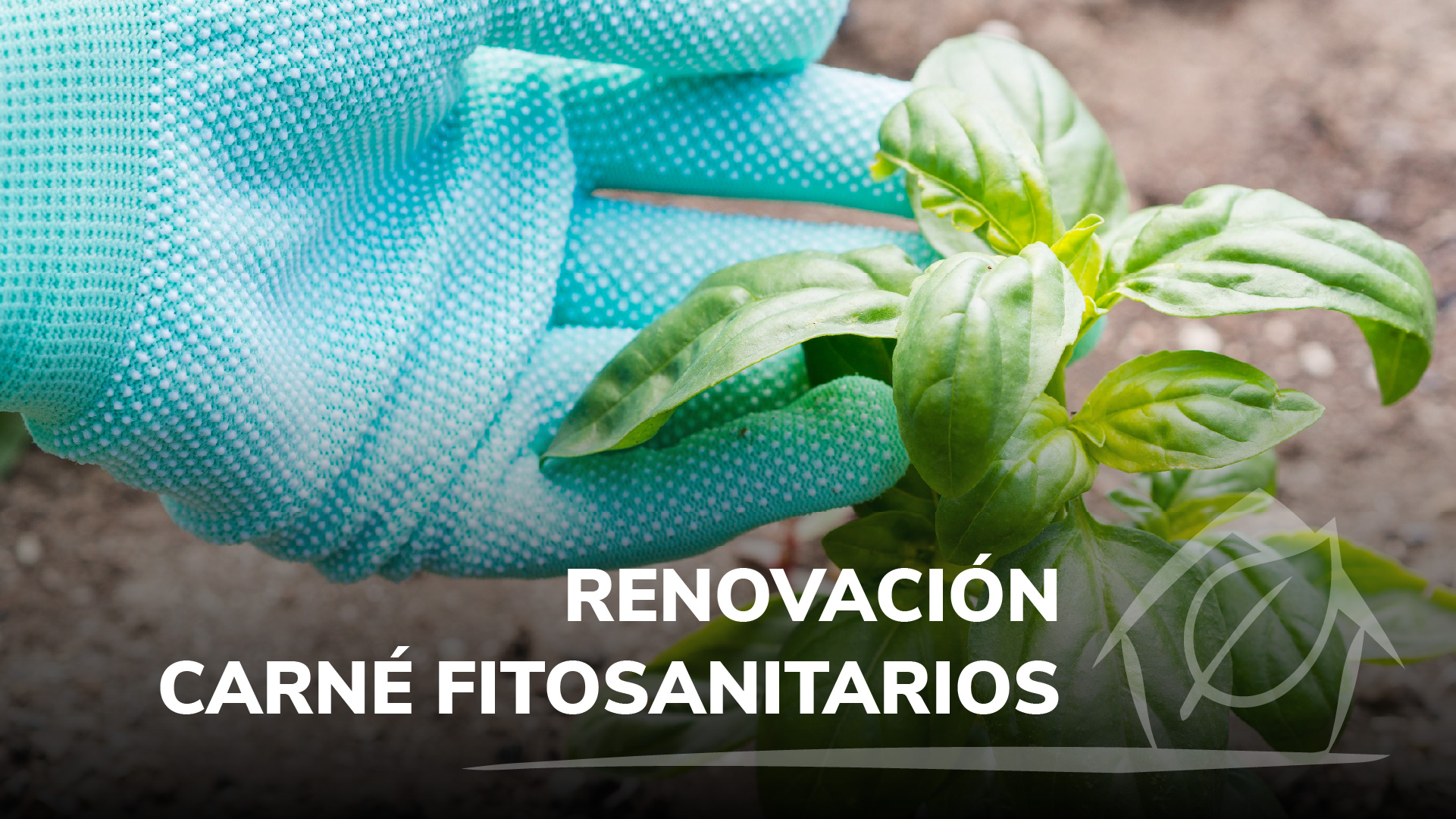 Curso de RENOVACI&Oacute;N CARN&Eacute; FITOSANITARIOS