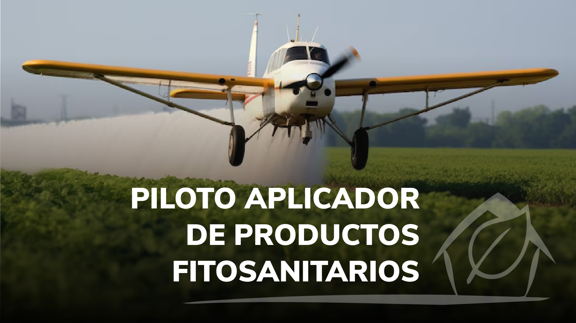 Curso de PILOTO APLICADOR DE PRODUCTOS FITOSANITARIOS